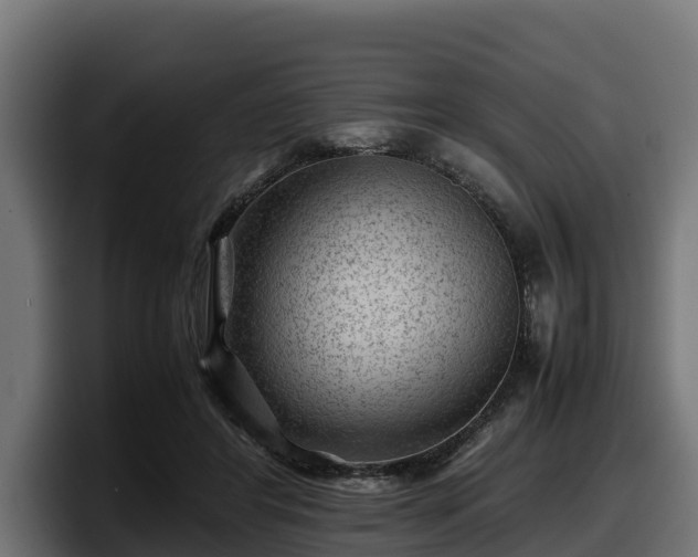 X0000097840404200803201522