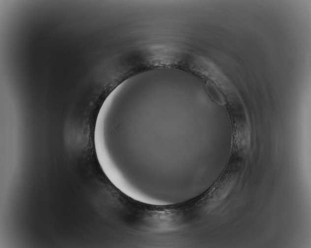 X0000097840411200803201522