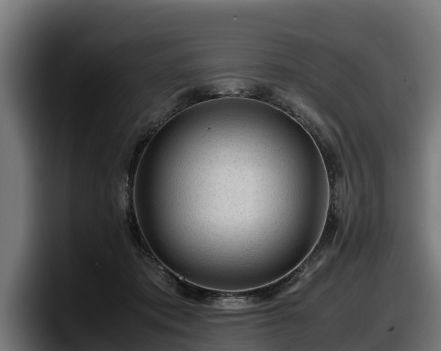 X0000097840413200803201522