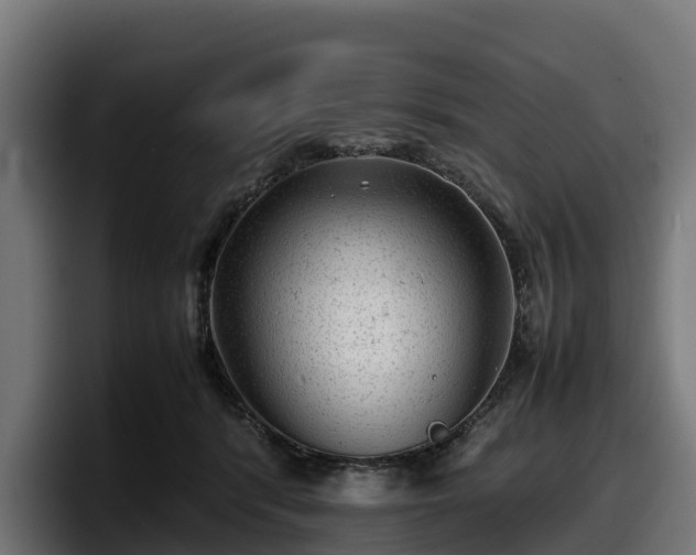 X0000097840416200803201522