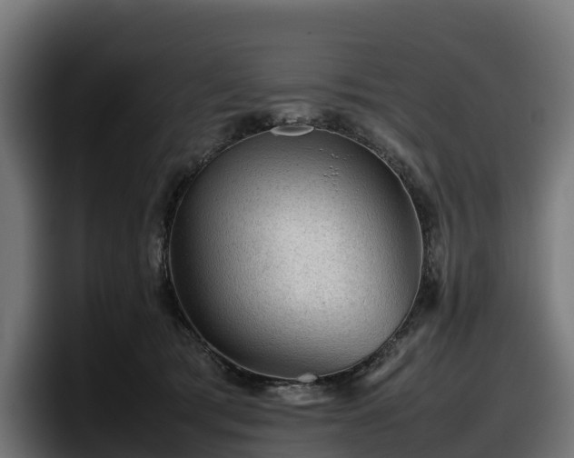 X0000097840417200803201522