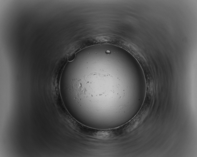 X0000097840418200803201522