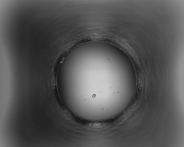 X0000097840419200803201522