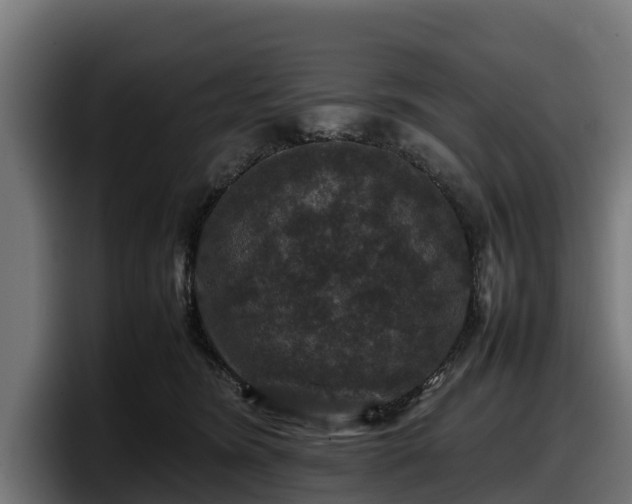 X0000097840420200803201522