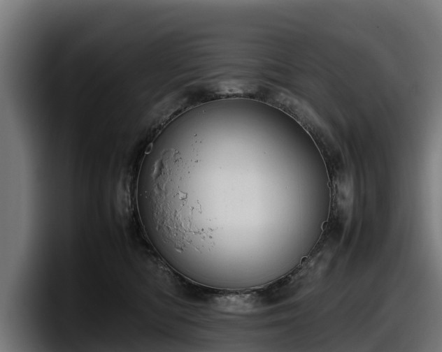 X0000097840422200803201522