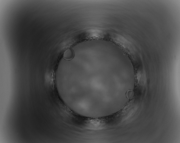 X0000097840423200803201522