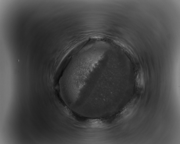 X0000097840424200803201522