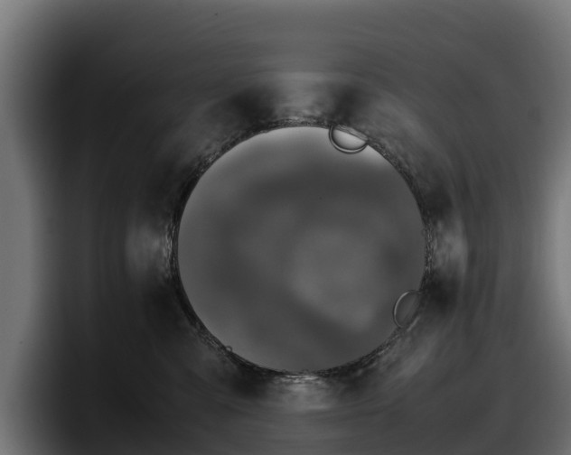 X0000097840427200803201522