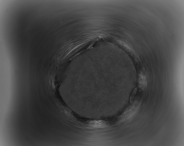 X0000097840428200803201522