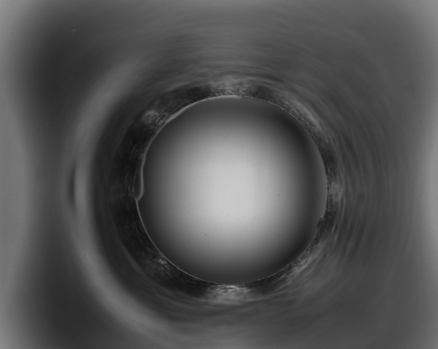 X0000097840429200803201522