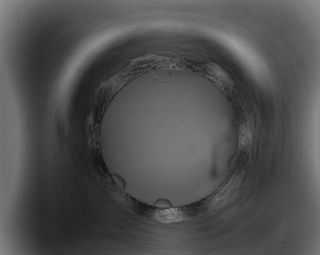 X0000097840431200803201521