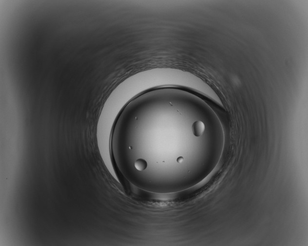 X0000097840432200803201521