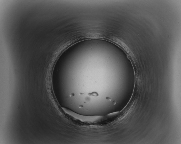 X0000097840433200803201521