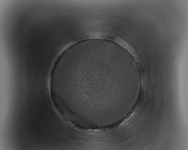 X0000097840434200803201521