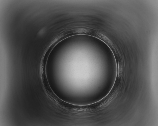 X0000097840435200803201521