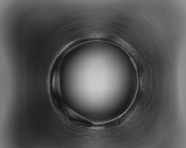 X0000097840436200803201521