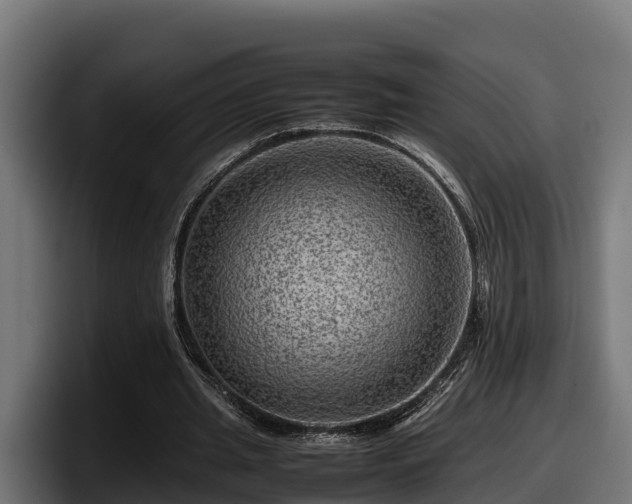 X0000097840437200803201521