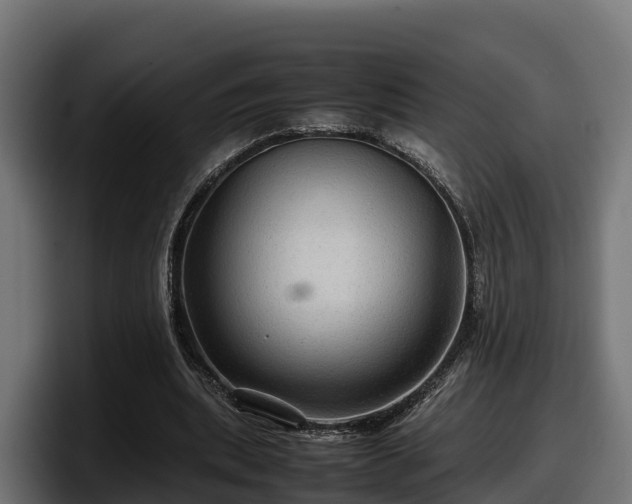 X0000097840439200803201521