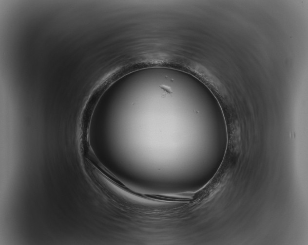 X0000097840440200803201521