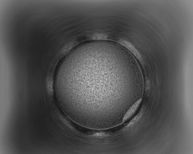 X0000097840441200803201521
