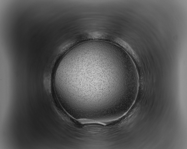 X0000097840442200803201521
