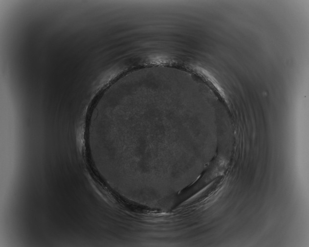X0000097840443200803201521