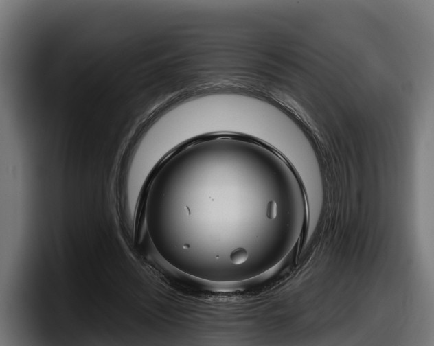 X0000097840444200803201521