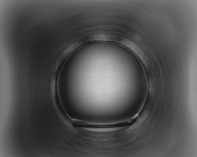 X0000097840445200803201521