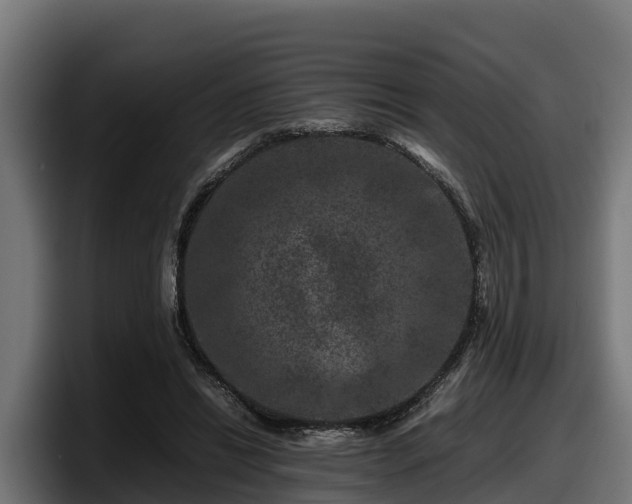X0000097840446200803201521