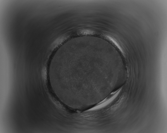 X0000097840447200803201521