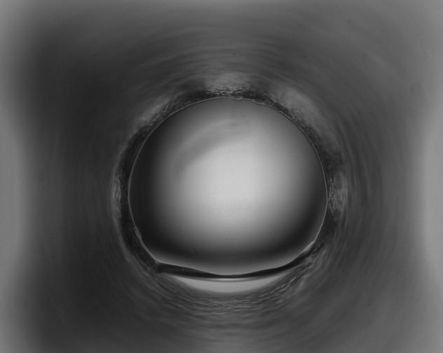 X0000097840448200803201521
