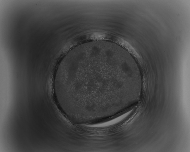 X0000097840449200803201521