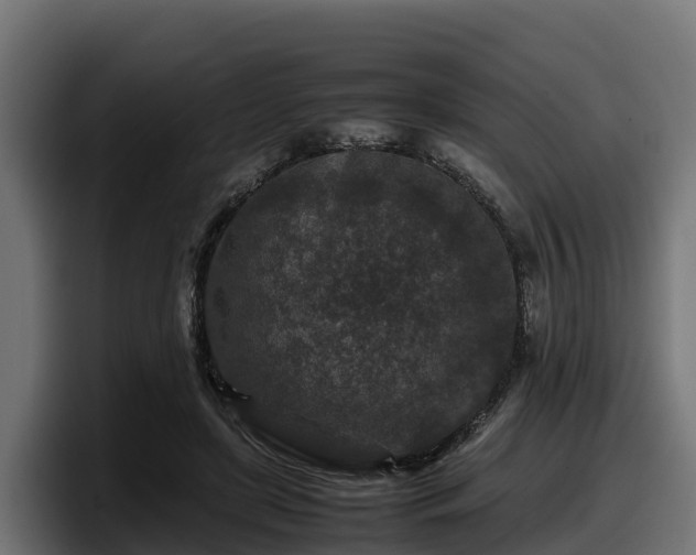 X0000097840451200803201521