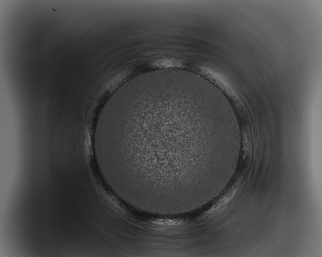 X0000097840453200803201521