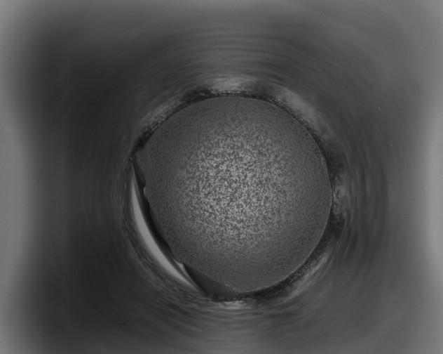 X0000097840454200803201521