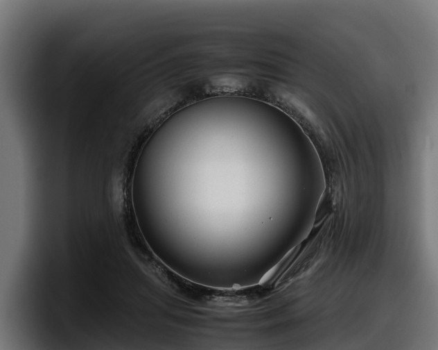 X0000097840455200803201521