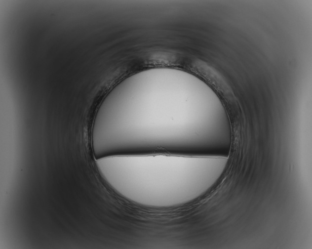 X0000097840457200803201521