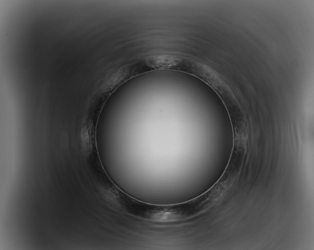 X0000097840460200803201521