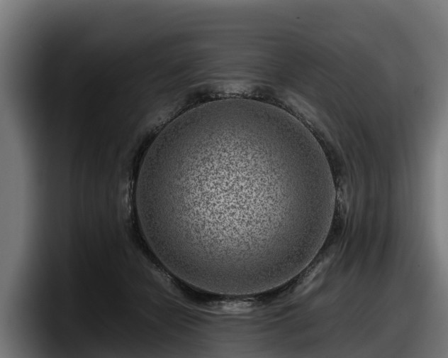X0000097840462200803201521