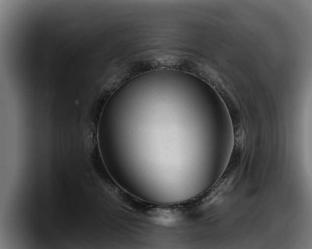X0000097840464200803201521