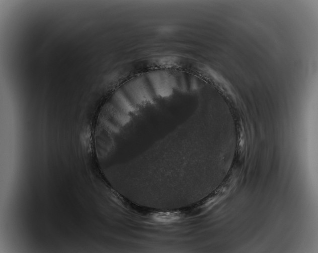 X0000097840465200803201521