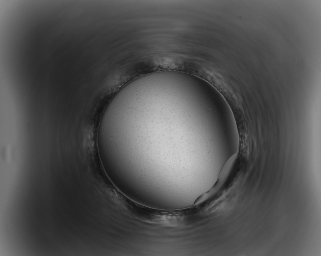 X0000097840466200803201521