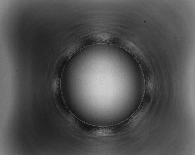 X0000097840468200803201521
