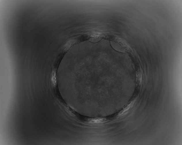 X0000097840479200803201521