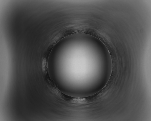 X0000097840480200803201521
