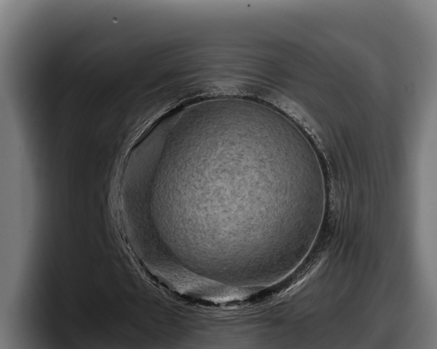 X0000097840481200803201521