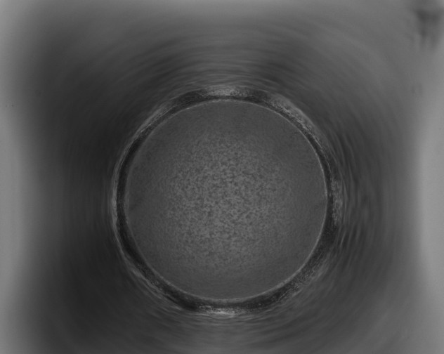 X0000097840482200803201521