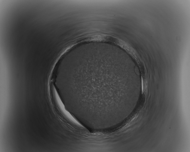 X0000097840483200803201521