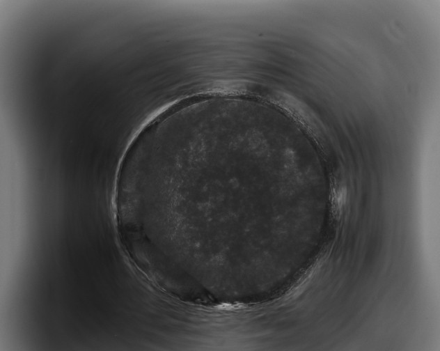 X0000097840484200803201521