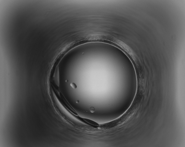 X0000097840485200803201521